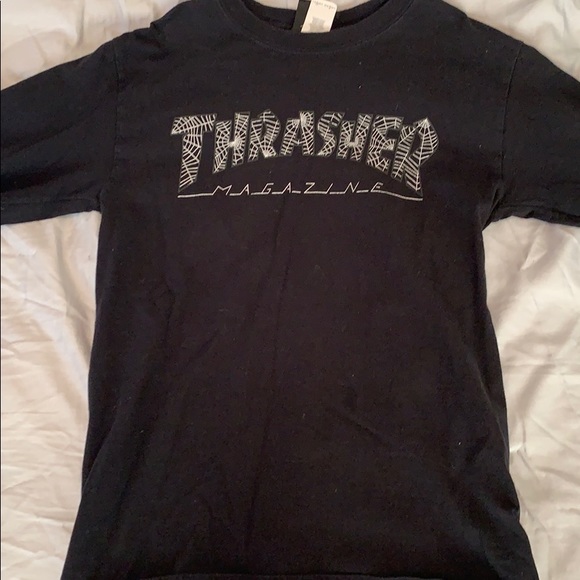 thrasher spider web